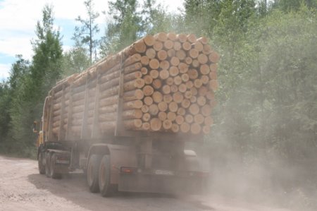 На трассе под Костромой в жутком ДТП расстались с жизнью четверо молодых людей
