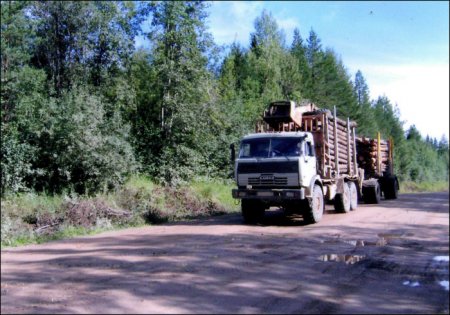 Семеро человек получили травмы в ДТП с участием автобуса и лесовоза в Кирове