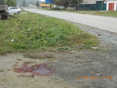 В Сысерти наркоманка сбила пешехода