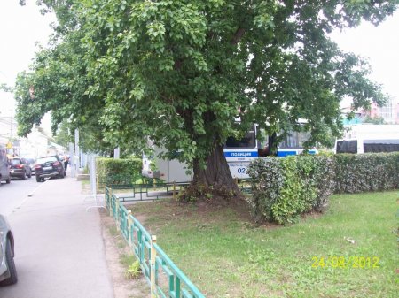 Городской сквер, используемый под стоянку авто