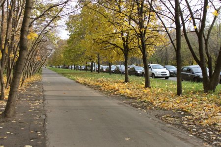 Это дорога от Выхино к парку Кусково