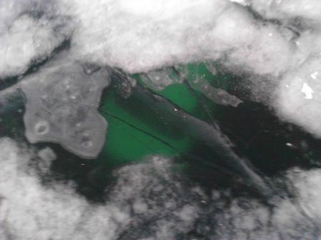 В Челябинске маршрутка провалилась под лед