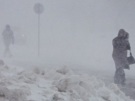 В Алтайском крае в ДТП с МАЗом погибли четверо, в том числе ребенок