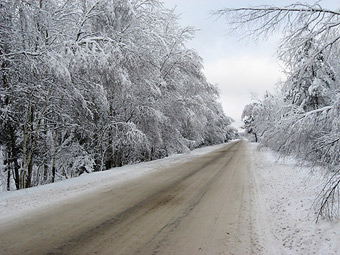 ДПТ в Нижегородской области: один человек погиб, четыре – травмировано