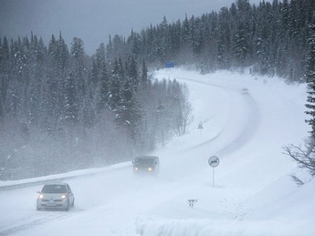 Оренбург: из-за метели в ДТП погибло три человека