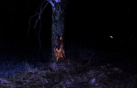 В результате ДТП в Приангарье погибло три человека