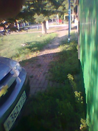 Начальница СУДЕБНЫХ ПРИСТАВОВ