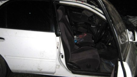 В ДТП под Воронежем погибли два человека