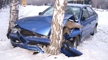 В Барнауле иномарка врезалась в дерево