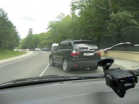 Хамки на трассе Дон.