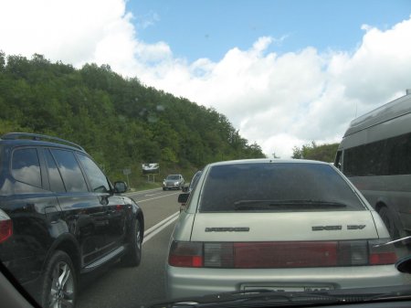 Хамки на трассе Дон.