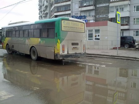 Стоя нка автобусов на пешеходном переходе