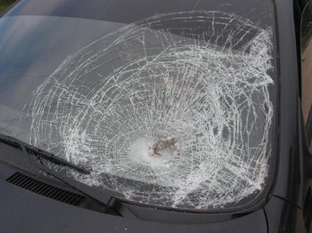 Кровавое ДТП в Калужской области унесло жизни четырех человек