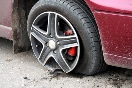 В Калининградской области иномарка врезалась в дерево: один человек погиб