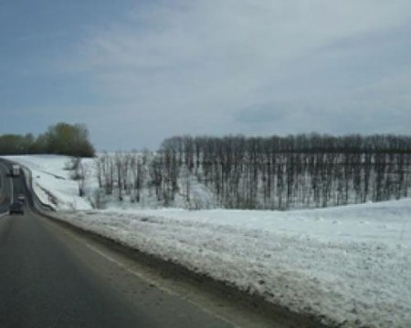 Столкновение двух легковушек со смертельным исходом произошло в Мордовии