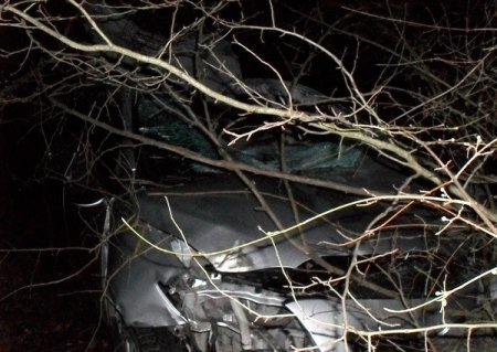 В аварию под Новороссийском попала лошадь и пострадал ребенок!!!