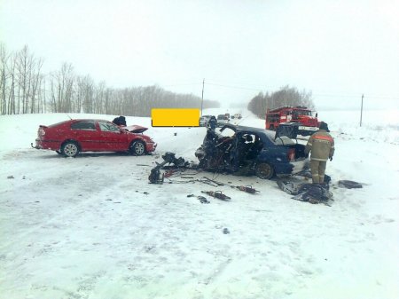 На автотрассе в Башкирии в аварии из-за сильного снегопада погибли три человека